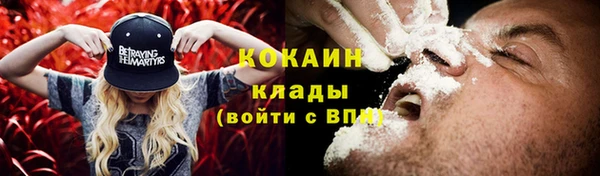 мет Арсеньев