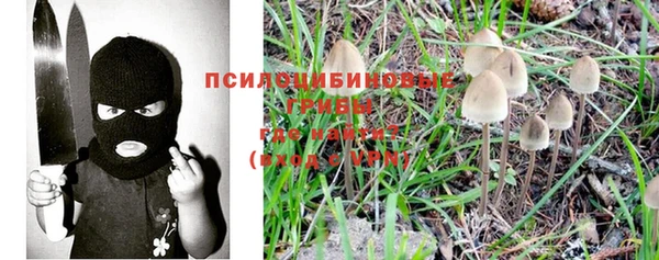 мет Арсеньев