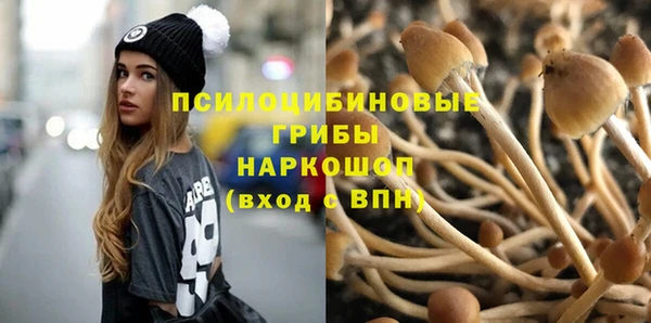 мет Арсеньев