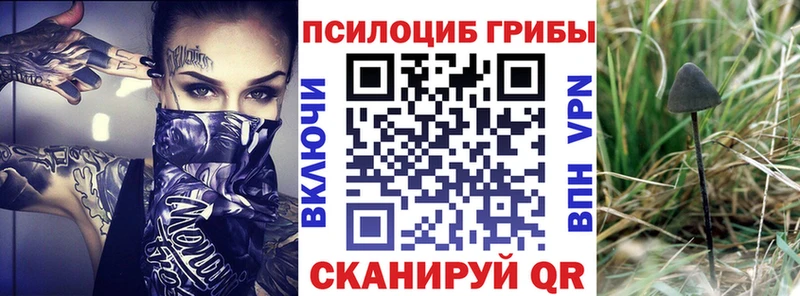 Галлюциногенные грибы MAGIC MUSHROOMS  blacksprut ссылка  Будённовск 